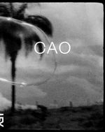 Cao Guimares: Cao