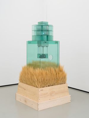Carl Cheng: Nature Never Loses