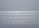 Carla Klein: Scape