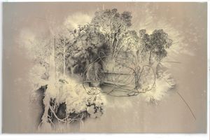 Carolee Schneemann: From Then and Beyond