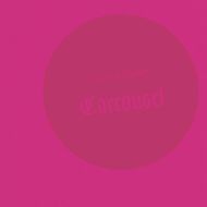 Carsten Hller: Carrousel