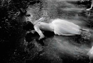 Cass Bird: Rewilding