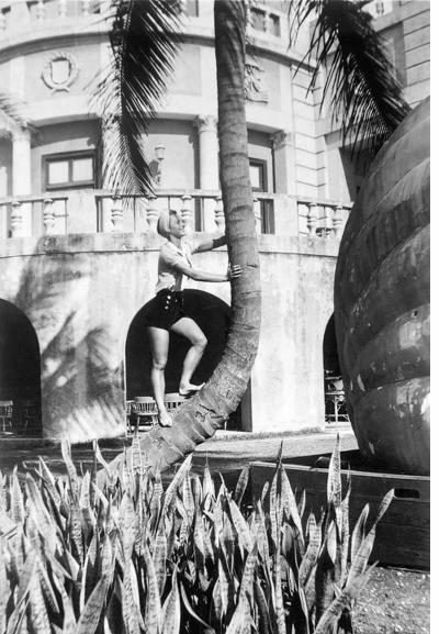 Celebrate Women's History Month with 'Women in Trees'