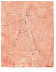 Charlotte Verity: The Printed Year