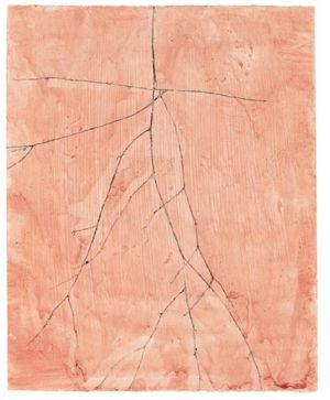 Charlotte Verity: The Printed Year