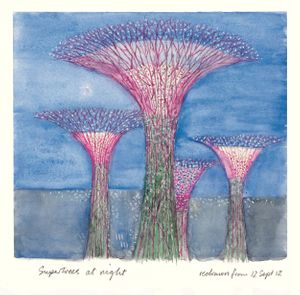 Chris Wilkinson: Drawing What I See