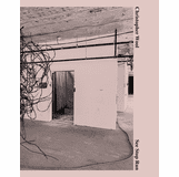 Christopher Wool: See Stop Run