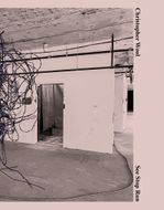 Christopher Wool: See Stop Run