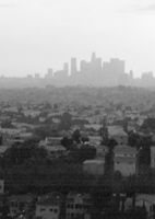 City Terrace Field Manual