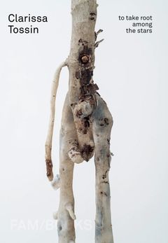 Clarissa Tossin: To Take Root among the Stars