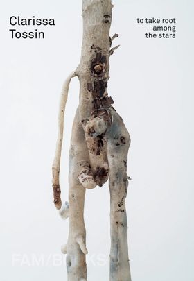 Clarissa Tossin: To Take Root among the Stars
