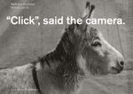 Click, Said the Camera