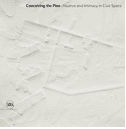 Conceiving the Plan: Nuance and Intimacy in Civic Space