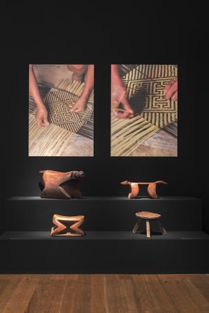 Convergences Divergences