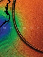 Cooper Jacoby: How Do I Survive?