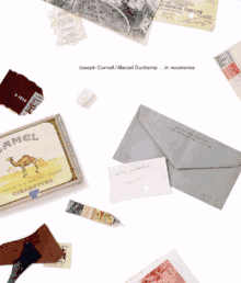 Cornell/Duchamp...In Resonance