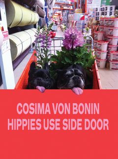 Cosima von Bonin: Hippies Use Side Door