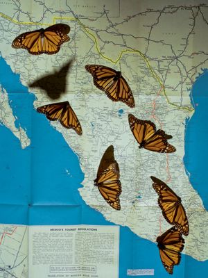 Cristina de Middel: Journey to the Center