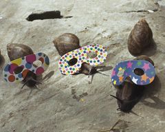 Cristina de Middel: PHotoBolsillo