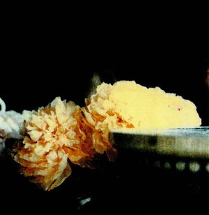 Cy Twombly Photographer, Friends and Others: Le Temps Retrouv