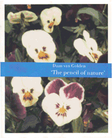 Daan Van Golden: Pencil of Nature