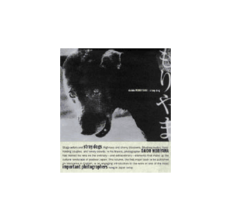 Daido Moriyama ARTBOOK | D.A.P. 1999 Catalog Books Exhibition