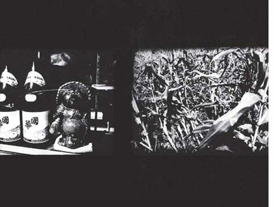 Daido Moriyama: Tales of Tono