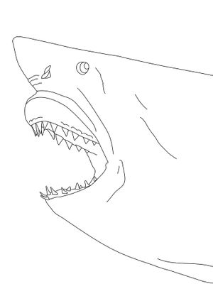 Damien Hirst: Colouring Book
