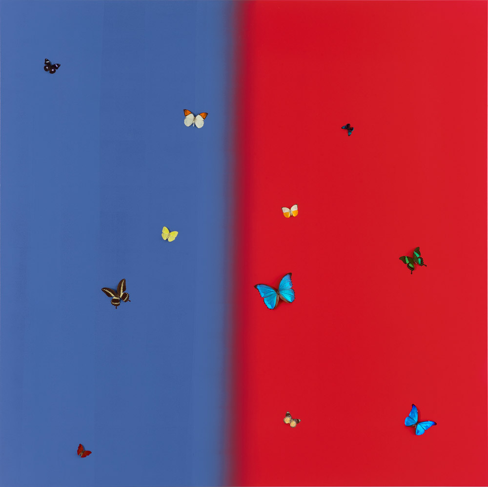 Damien Hirst Loves Moods ARTBOOK | D.A.P. 2026 Catalog Books
