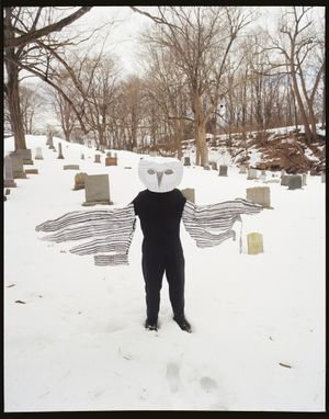 Dan Martensen: Wolves Like Us