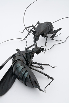 Dana Meyer: Sculptures