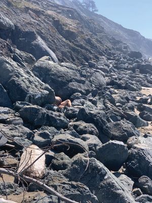 Daniel Case: Outside Sex