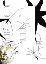 David Douard: 0´THEE LIL' 0