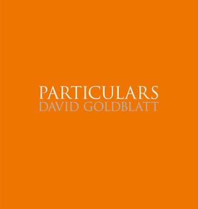 David Goldblatt: Particulars