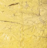 David Hammons