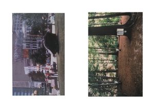 David Hammons Is on Our Mind