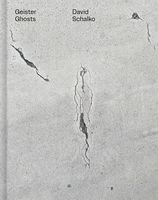 David Schalko: Ghosts