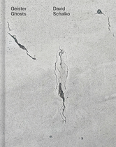 David Schalko: Ghosts