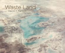 David T. Hanson: Waste Land