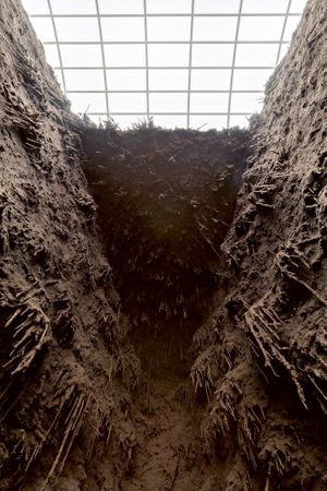 Delcy Morelos: Madre