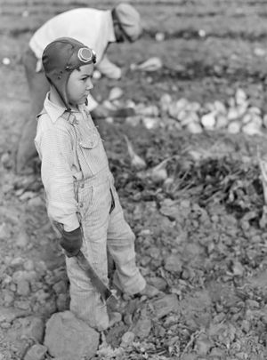 Denim: The Fabric That Built America, 19351944