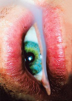 Deste 33 Years: 19832015