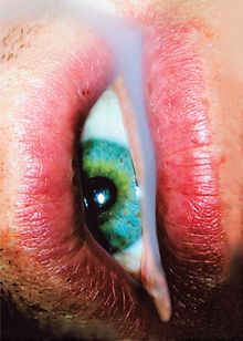 Deste 33 Years: 19832015