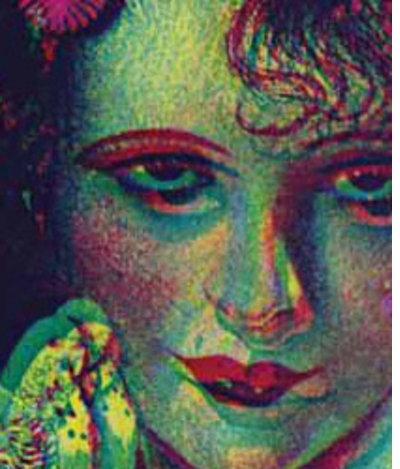 Destroy All Monsters Magazine 1976-1979