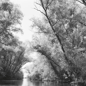 Diana Michener: Die Donau