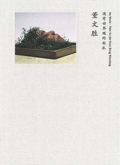 Dong Wensheng: No Worldview for the Face