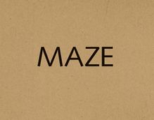 Donovan Wylie: Maze