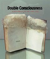 Double Consciousness