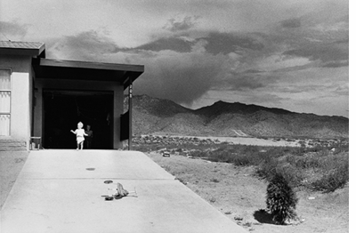 Double Elephant 197374: Garry Winogrand
