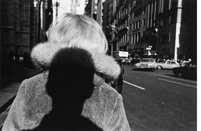 Double Elephant 197374, Lee Friedlander